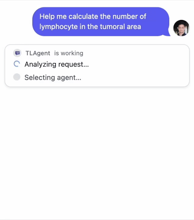AI medical image analysis - Ask feature